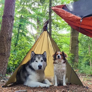 Tikaani’s Hammock Tipi